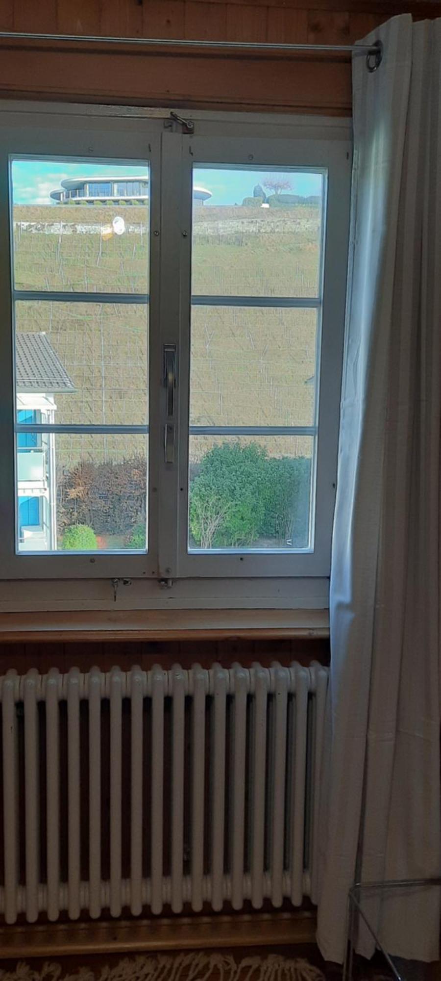 Auberge de jeunesse Pilgerhuesli Backpacker à Stäfa Extérieur photo